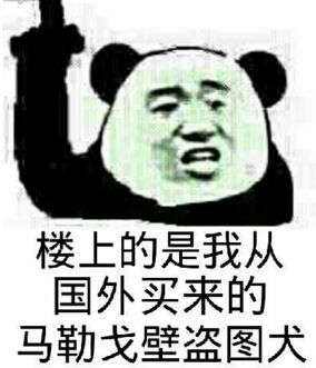 楼上的是我从国外买来的马勒戈壁盗图犬 楼上的是我从国外买来的马勒戈壁盗图犬