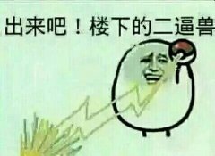 出来吧!楼下的二逼兽 出来吧!楼下的二逼兽