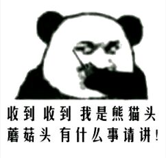 收到 收到 我是熊猫头 蘑菇头 有什么事请讲！