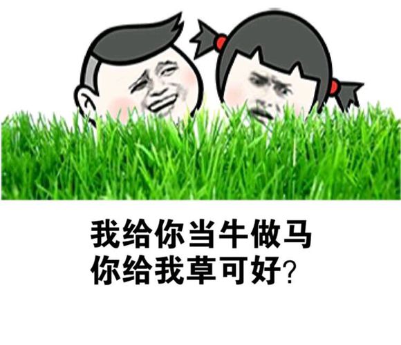 我给你当牛做马你给我草可好？