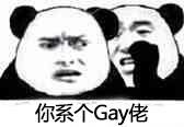 你系个Gay佬