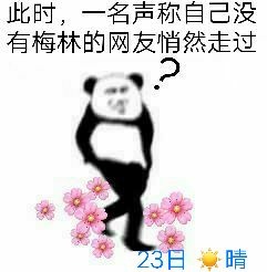 此时，一名声称自己没有梅林的网友悄然走过