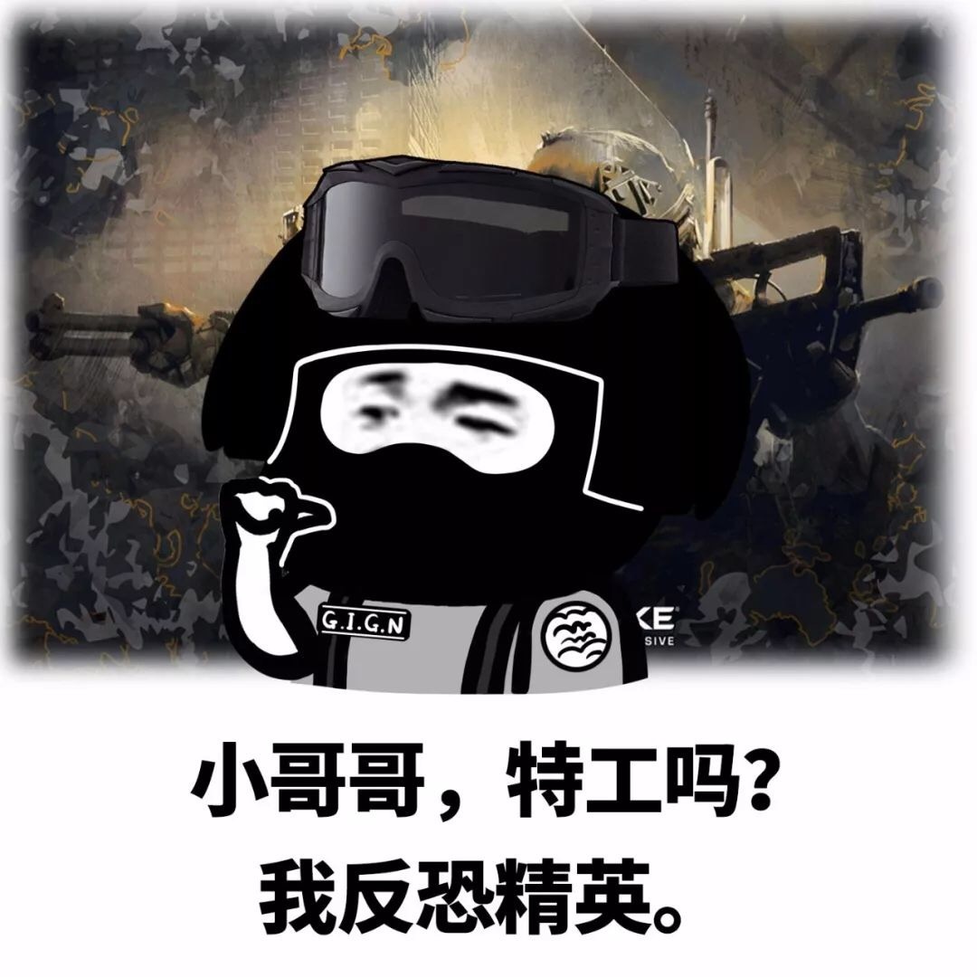 小哥哥，特工吗？我反恐精英