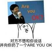 对方不想和你说话 并向你扔了一个ARE YOU OK