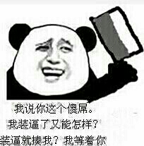 你说你这个傻屌 我装逼了又能怎样？