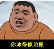 你帅得像坨屎