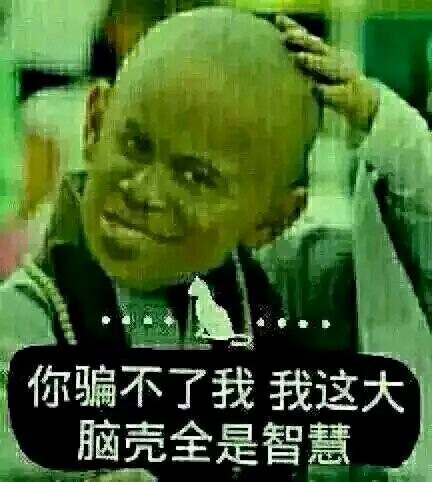 你骗不了我 我这大脑壳全是智慧 你骗不了我 我这大脑壳全是智慧