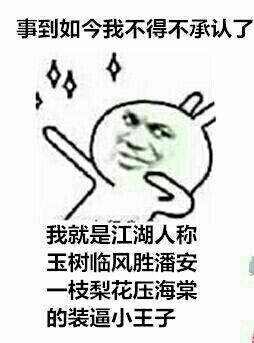 事到如今我不得不承认了 我就是装逼小王子