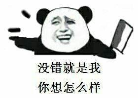 没错就是我你想怎么样