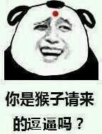你是猴子请来的逗逼吗?