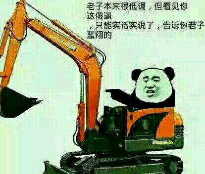 老子本来很低调，但看见你这傻逼，只能实话实说了，告诉你老子蓝翔的
