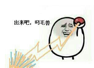 出来吧，叼毛兽