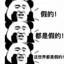 假的!都是假的!这世界都是假的!