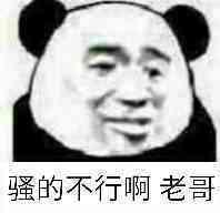 骚的不行啊 老哥