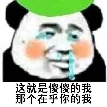 这就是傻傻的我那个在乎你的我