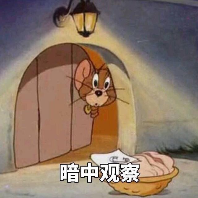 暗中观察