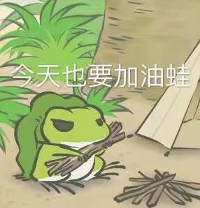 今天也要加油蛙