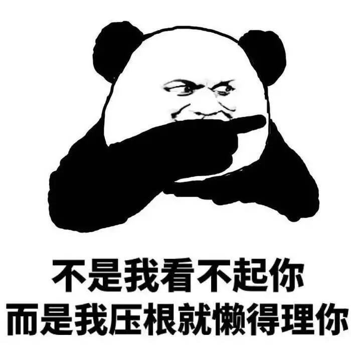 不是我看不起你而是我压根就懒得理你