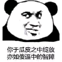 你于瓜皮之中绽放亦如傻逼中的智障