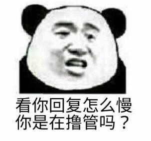 看你回复这么慢你在撸管吗?