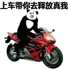 上车带你去释放真我