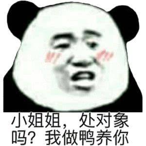 小姐姐,处对象吗?我做鸭养你