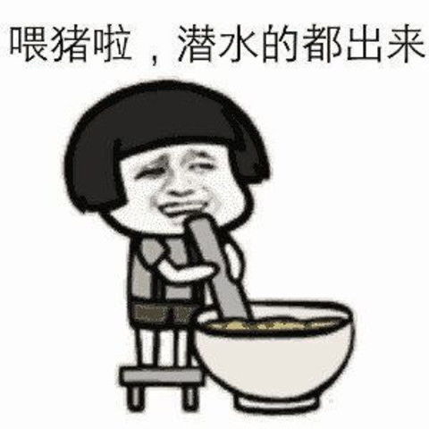 喂猪啦,潜水的都出来