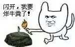 闪开,我要炸牛粪了!