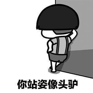 你的站姿像头驴