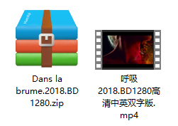 呼吸 Dans la brume 解压文件