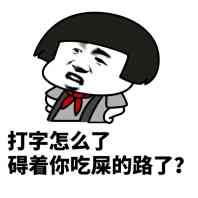 打字怎么了 碍着你吃屎的路了?