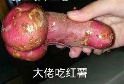 大佬吃红薯