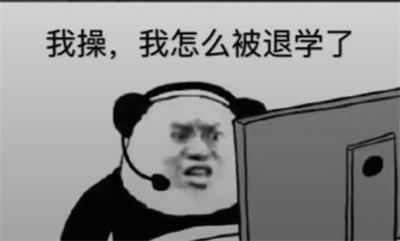 我操,我怎么被退学了