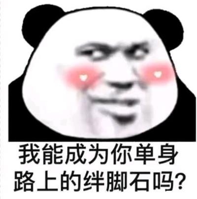 我能成为你单身路上的绊脚石吗?