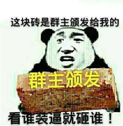 这块砖是群主颁发给我的