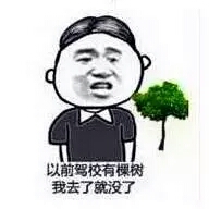 以前驾校有棵树
