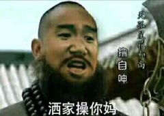 洒家操你妈