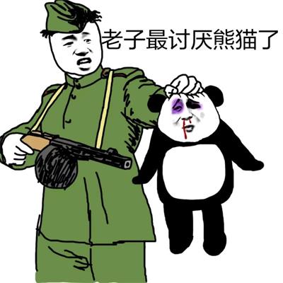 老子最讨厌熊猫了