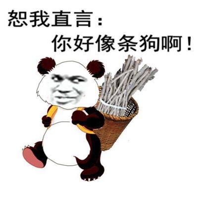 恕我直言:你好像条狗啊!