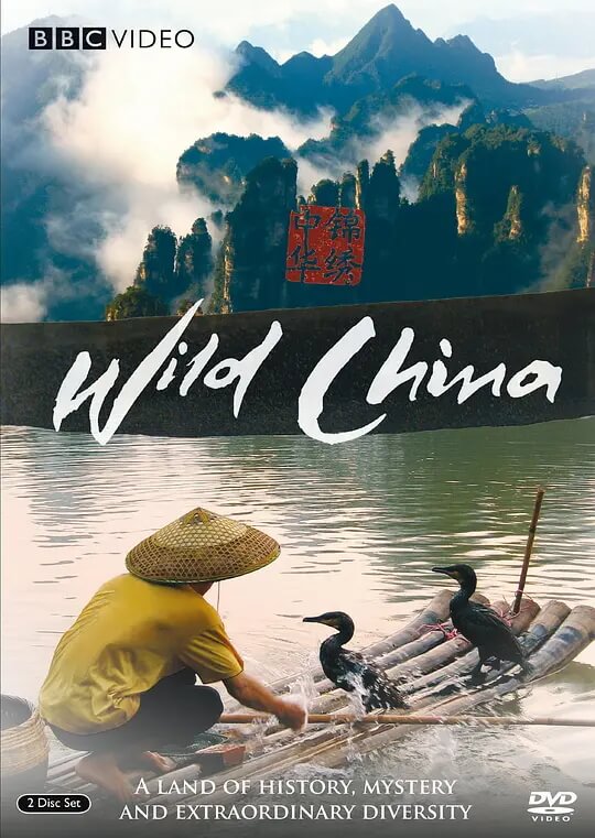 美丽中国 资源海报