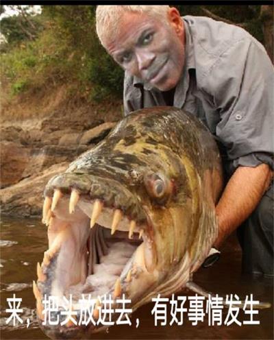 来,把头放进去,有好事发生