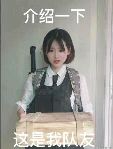 介绍一下 这是我队友