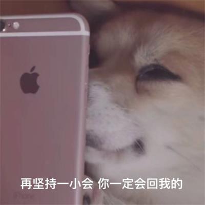 再坚持一小会 你一定会回我的