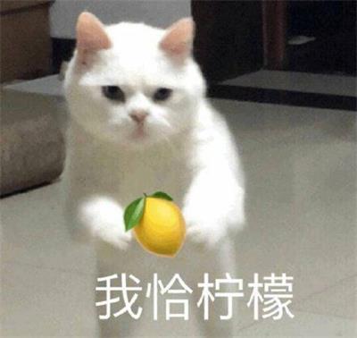 我恰柠檬