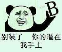 别装了 你的逼在我手上