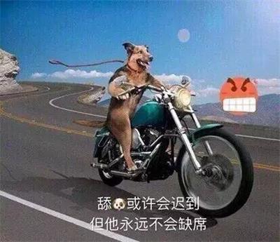 舔狗或许会迟到 但他永远不会缺席