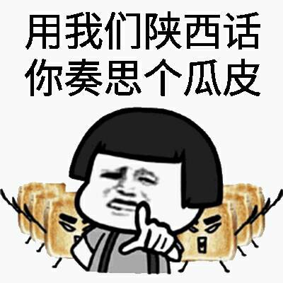 用我们陕西话你奏思个瓜皮