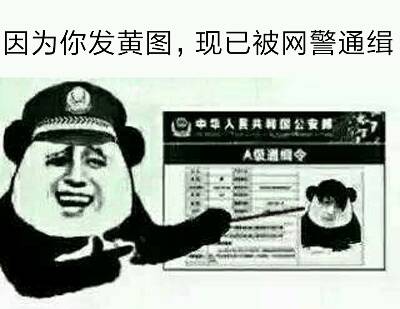 因为你发黄图,现已被网警通缉