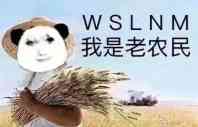 WSLNM我是老农民