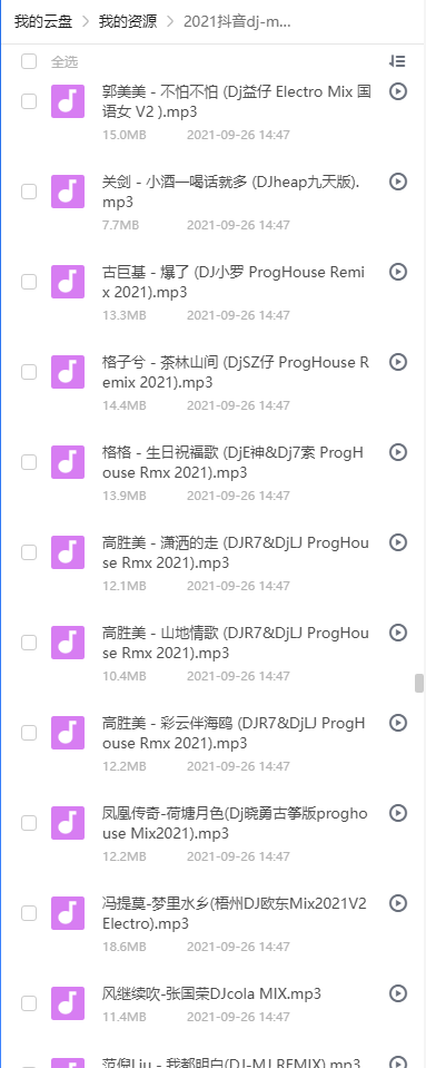 2021抖音歌曲dj音乐 部分列表3